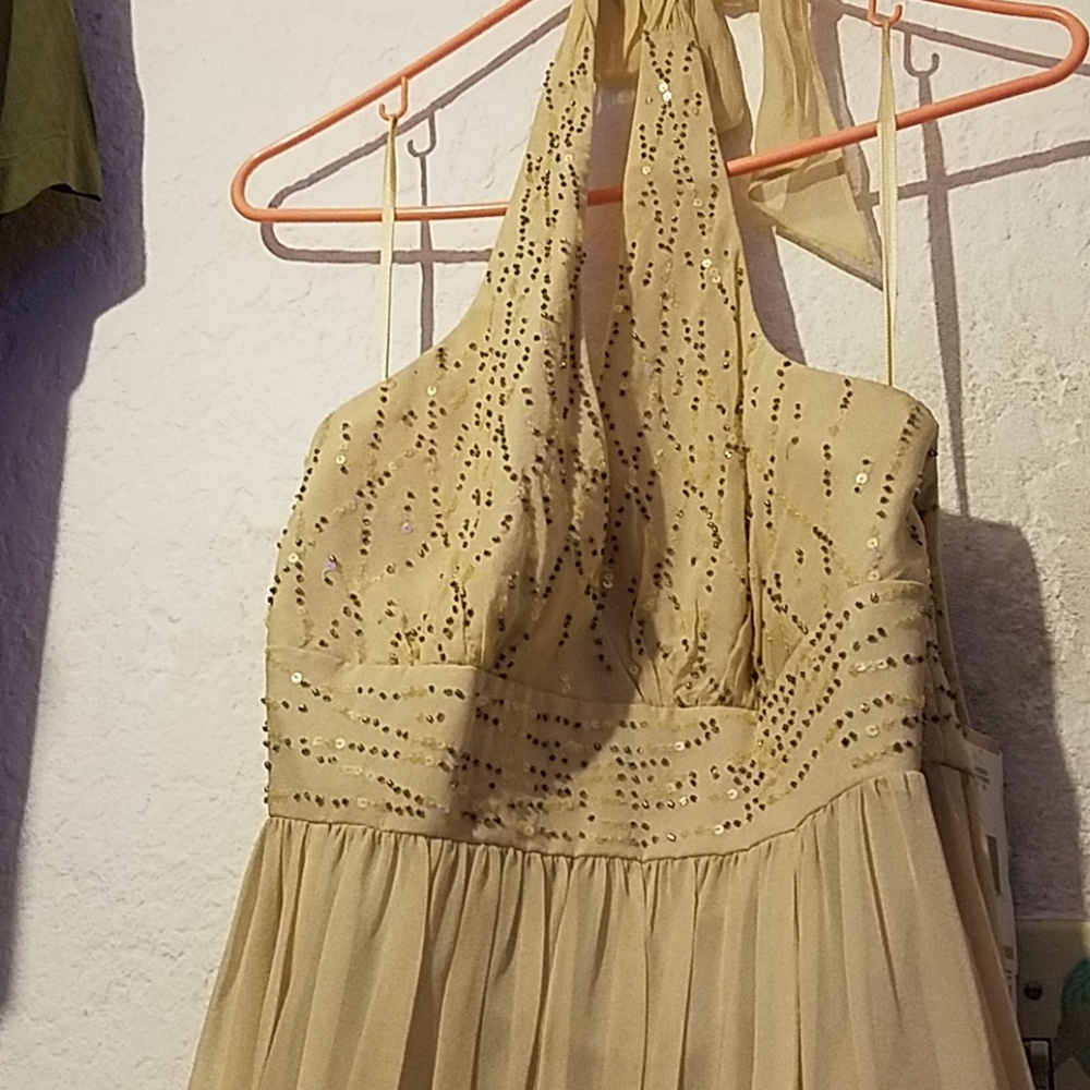 Sequence champagne dress